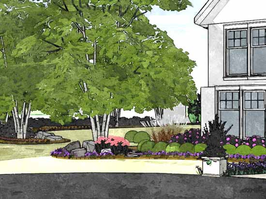 Landscape design drawn by a professional landscape designer