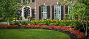 Front yard planting installation