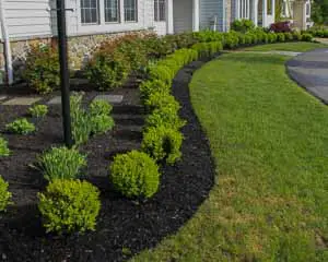 Front yard planting in Pittsford NY