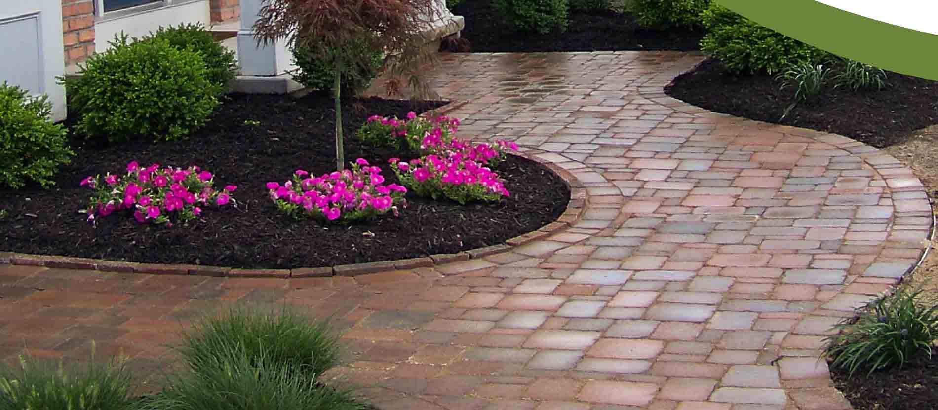 Front yard landscaping and paver sidewalk