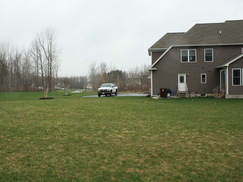 before picture of landscaping project