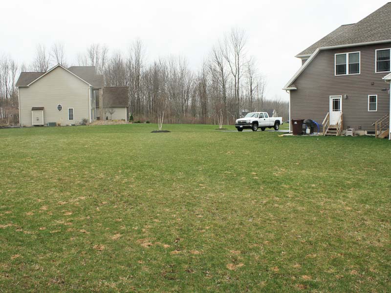 before picture of a pool landscaping project