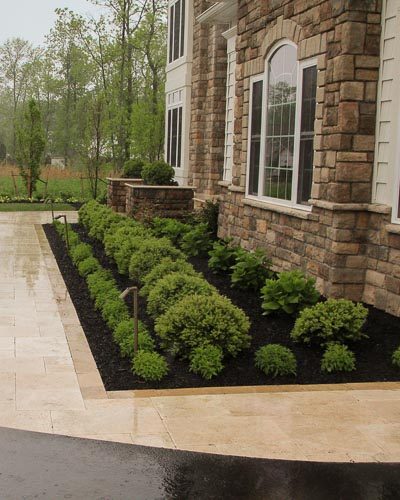 Front yard landscaping and walkway