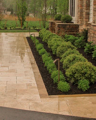 Front yard planting and sidewalk
